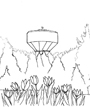 water tower behind trees and flowers