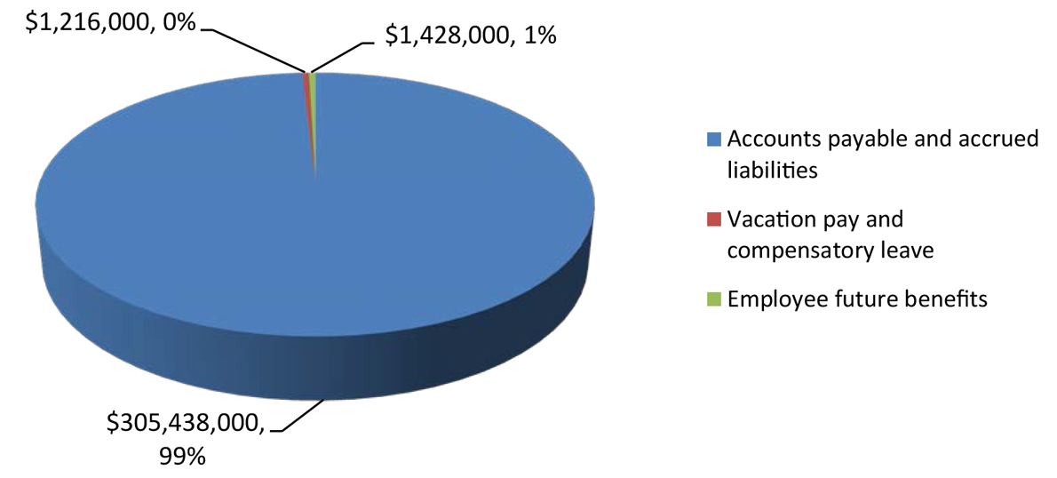 Pie chart of Total Net Liabilities