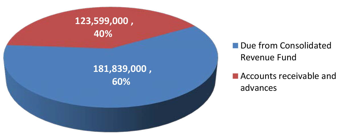 Pie chart of Total Net Financial Assets