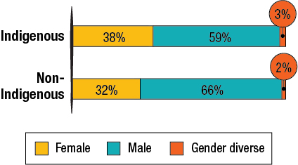 Nearly 1 in 3 respondents identified as Indigenous