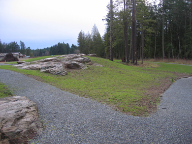 Rock outcrops and new grass in open areas of the park, near gravel pathways leading through the forest