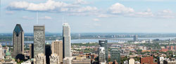 View of bridge with city skyline in foreground during the day