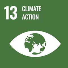 Goal 13: Take action on climate change and its impacts