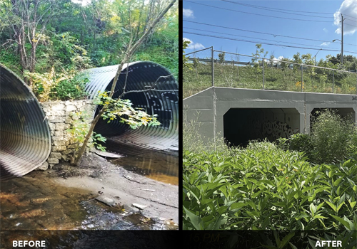 A side-by-side comparison of a culvert before and after construction upgrades. Before image of a culvert made out of corrugated steel surrounded by overgrown vegetation. After image of a newly constructed concrete culvert.