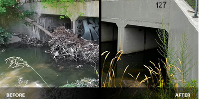 A side-by-side comparison of a culvert before and after construction upgrades. Before image of a partially blocked culvert surrounded by overgrown vegetation. After image of a newly constructed culvert with a clear water passage.