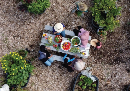 People having a picnic in community garden