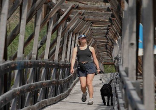 Person walking black dog on leash through wooden bridge.