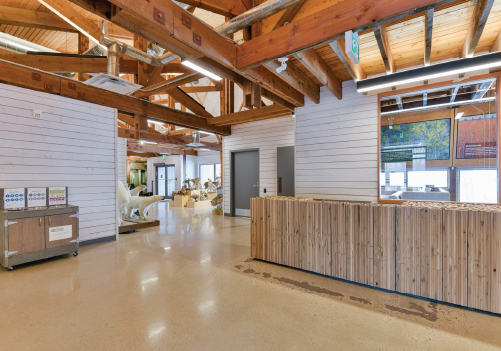 Interior of the Richardson Interpretive Centre building at FortWhyte Alive in Manitoba